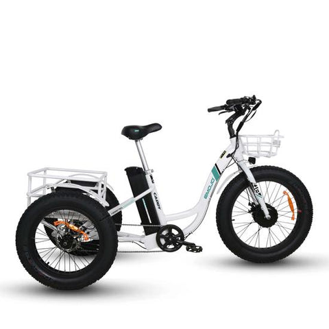 Image of Tricycle: Emojo Caddy