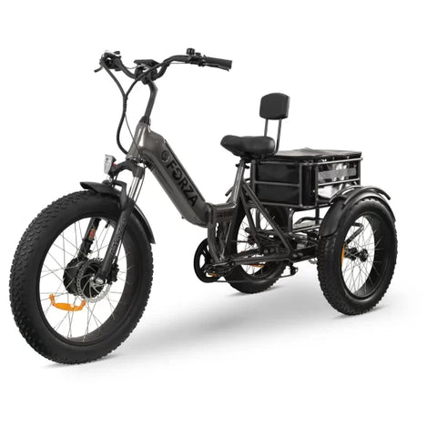 Image of FORZA Electric Tricycle