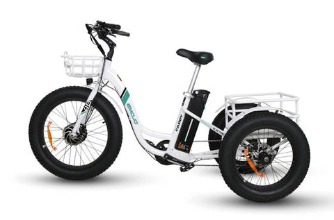 Image of Tricycle: Emojo Caddy